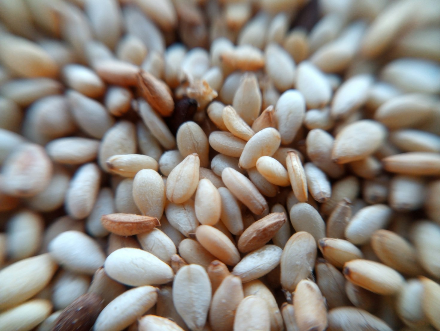 Conectando produtores e revendas: o impacto do VeroAgro