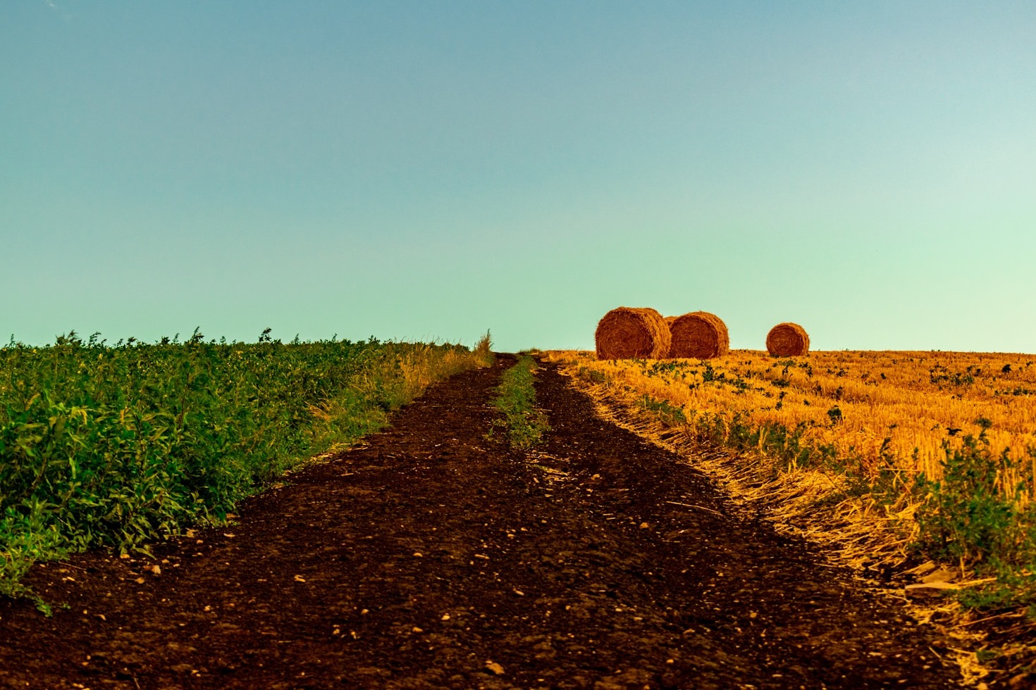 Como a VeroAgro facilita a vida de produtores rurais